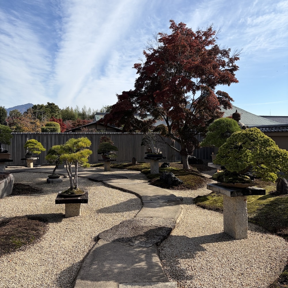 Hoshun-in Bonsai museum Kyoto