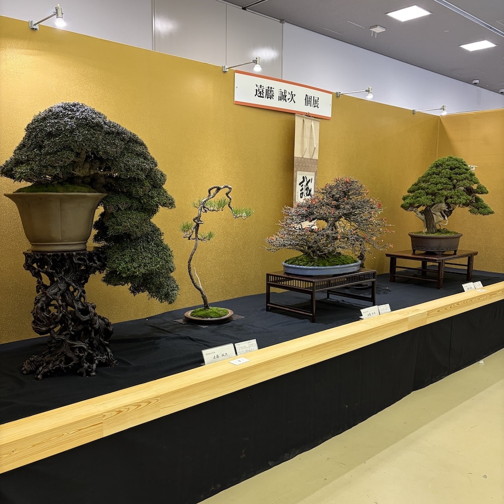 Taikan ten Japan 2025