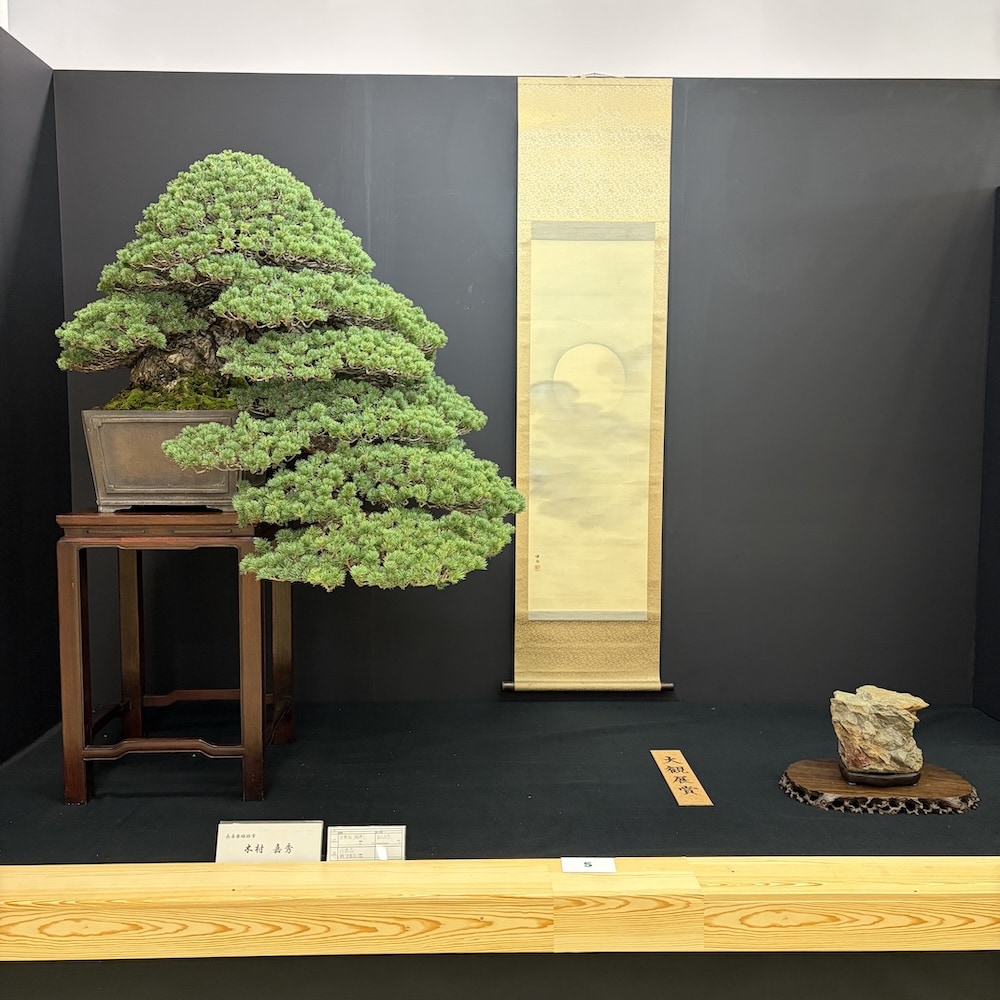 Taikan ten Japan 2025