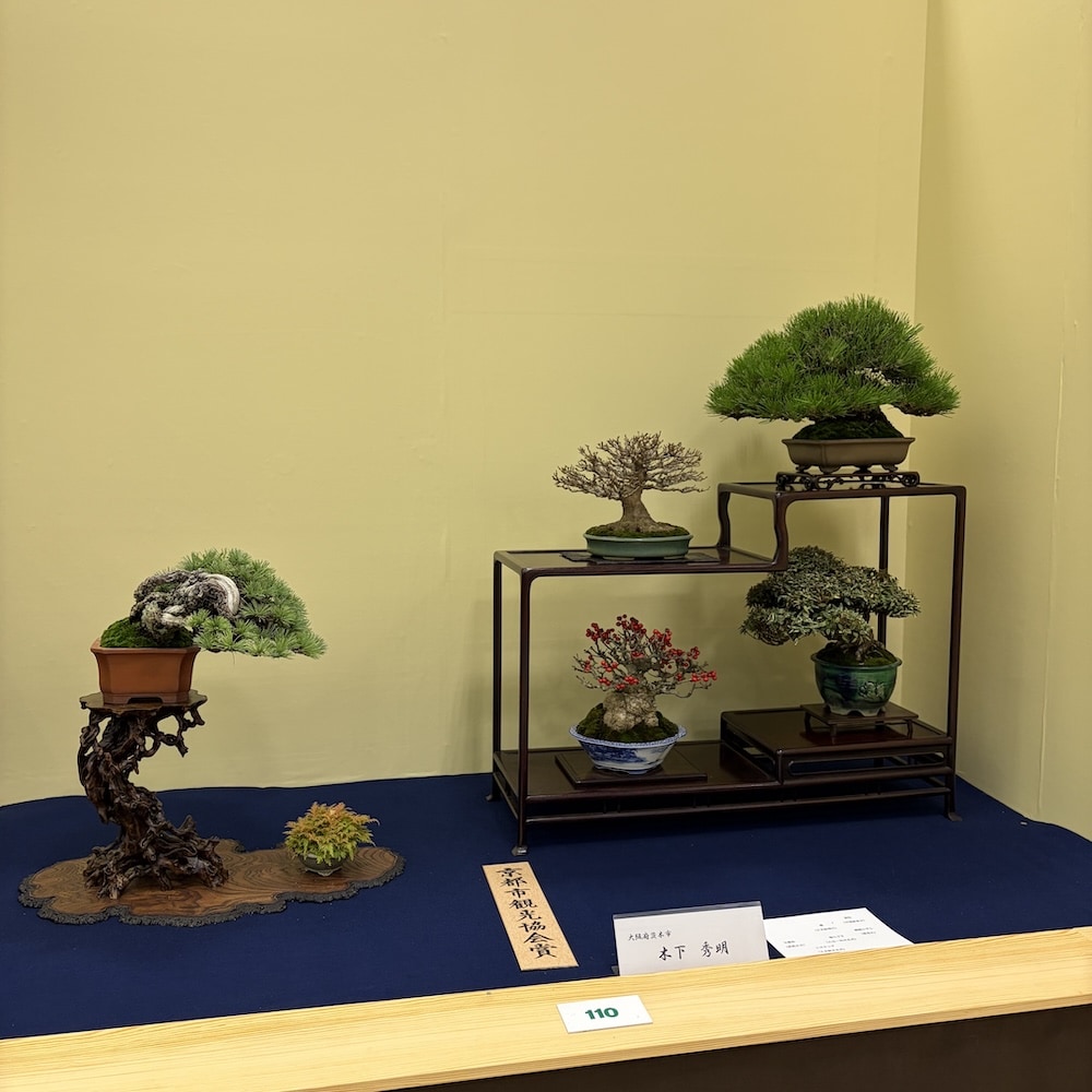 Taikan ten Japan 2025