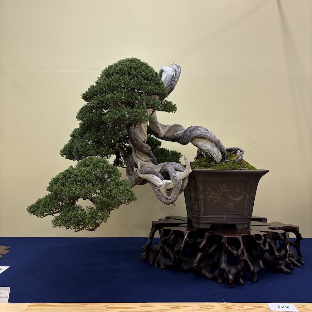 Taikan ten Japan 2025