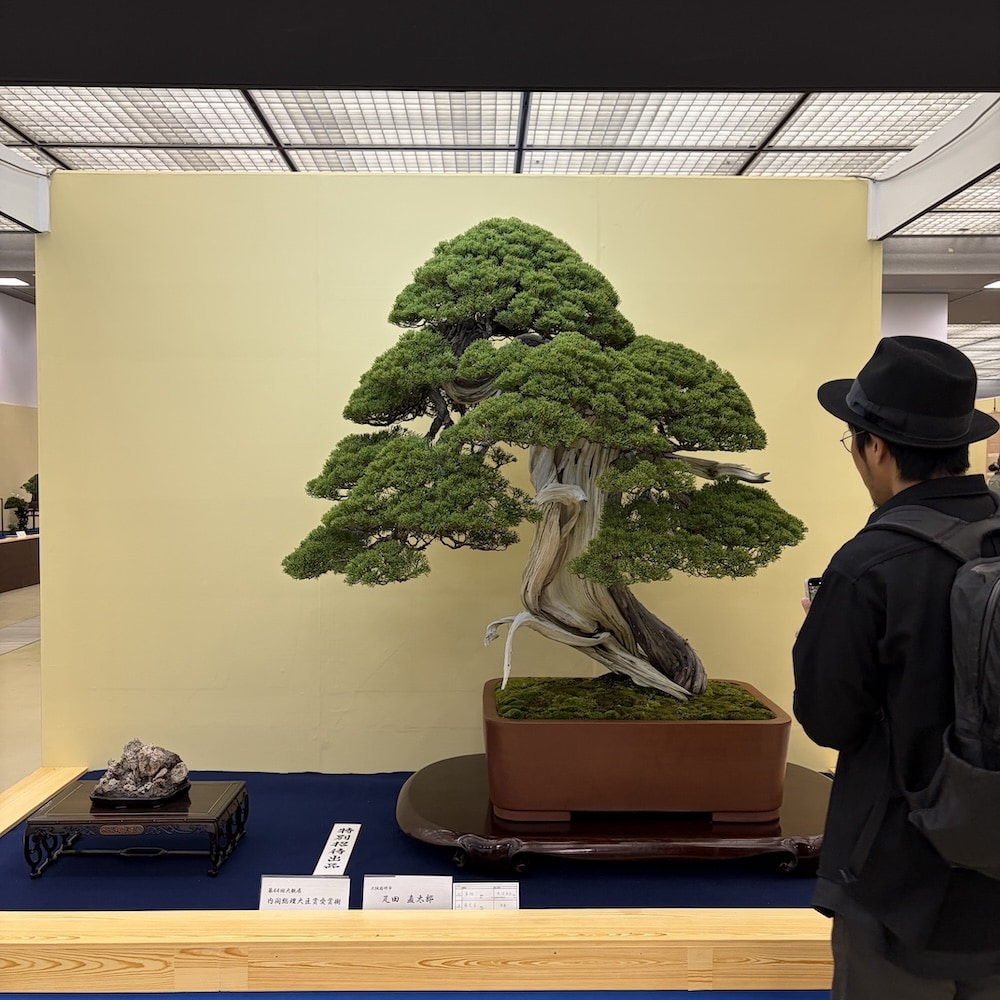 Taikan ten Japan 2025