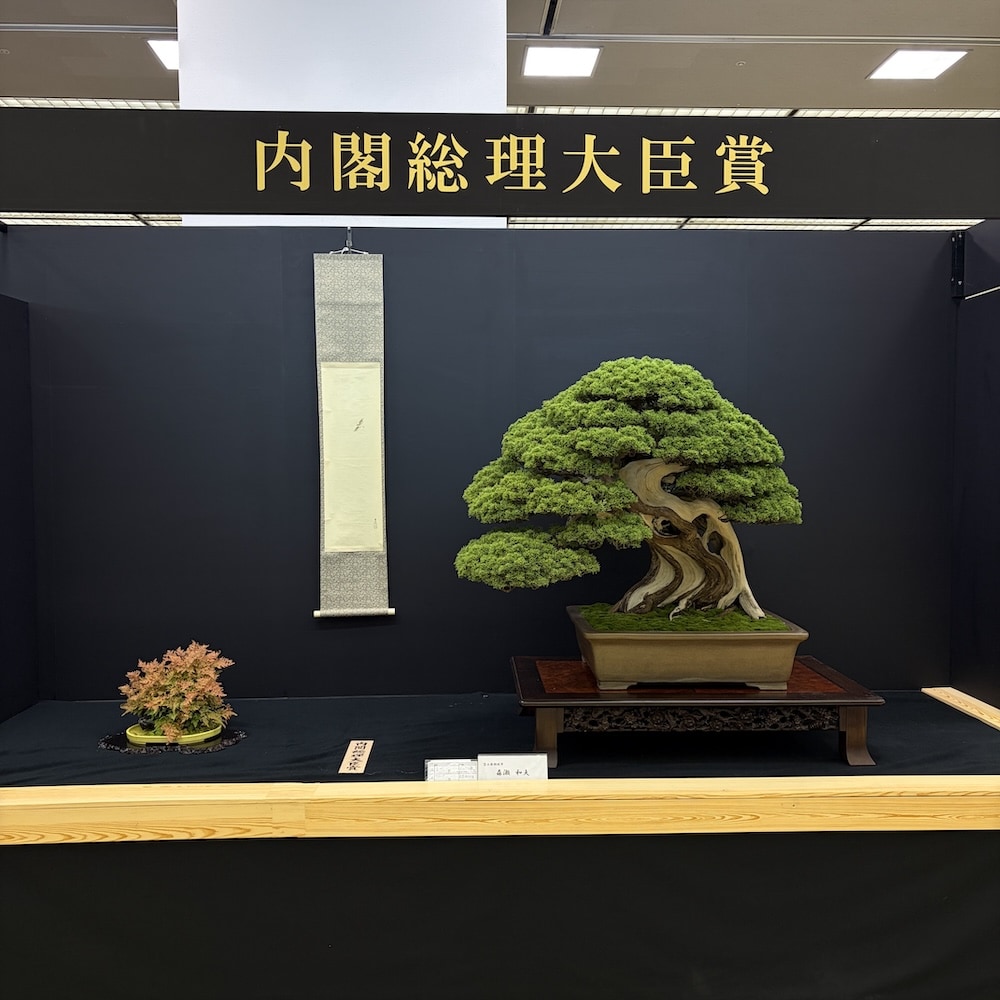 Taikan ten Japan 2025