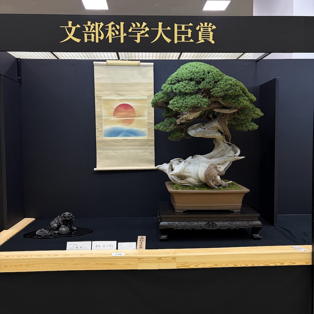 Taikan ten Japan 2025