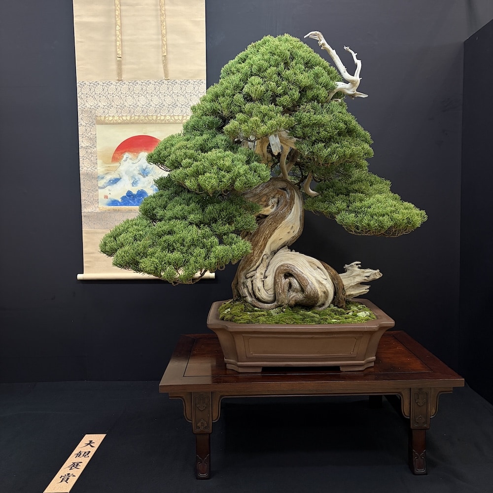 Taikan ten Japan 2025