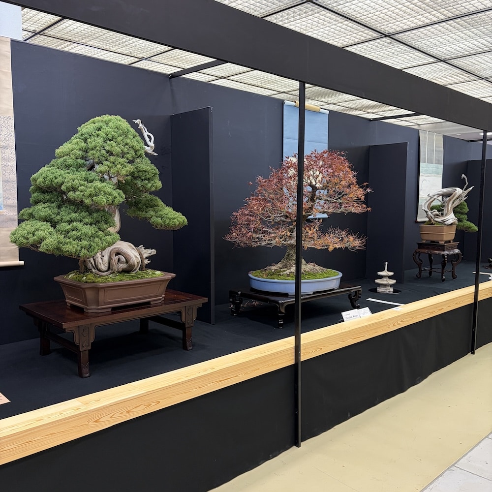 Taikan ten Japan 2025