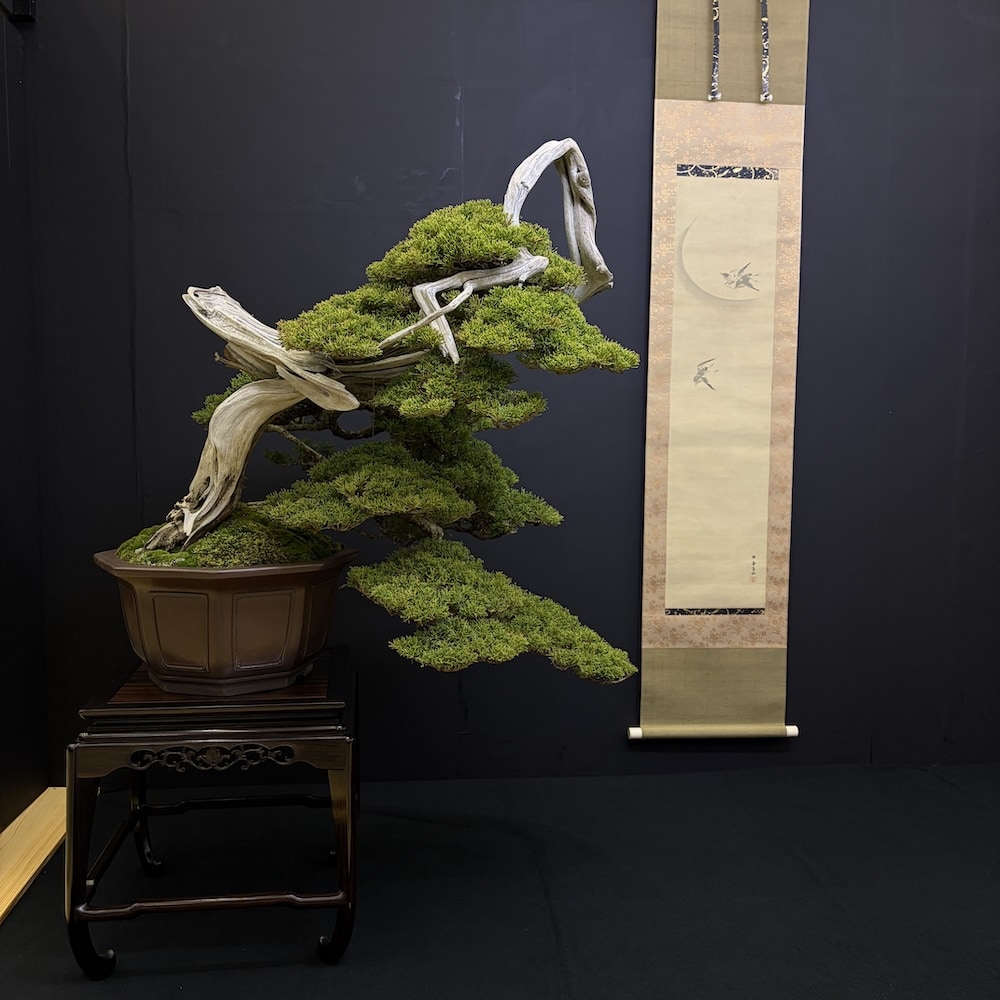 Taikan ten Japan 2025