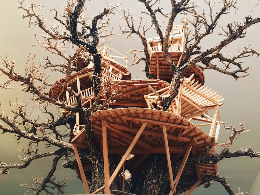 Bonsai treehouses