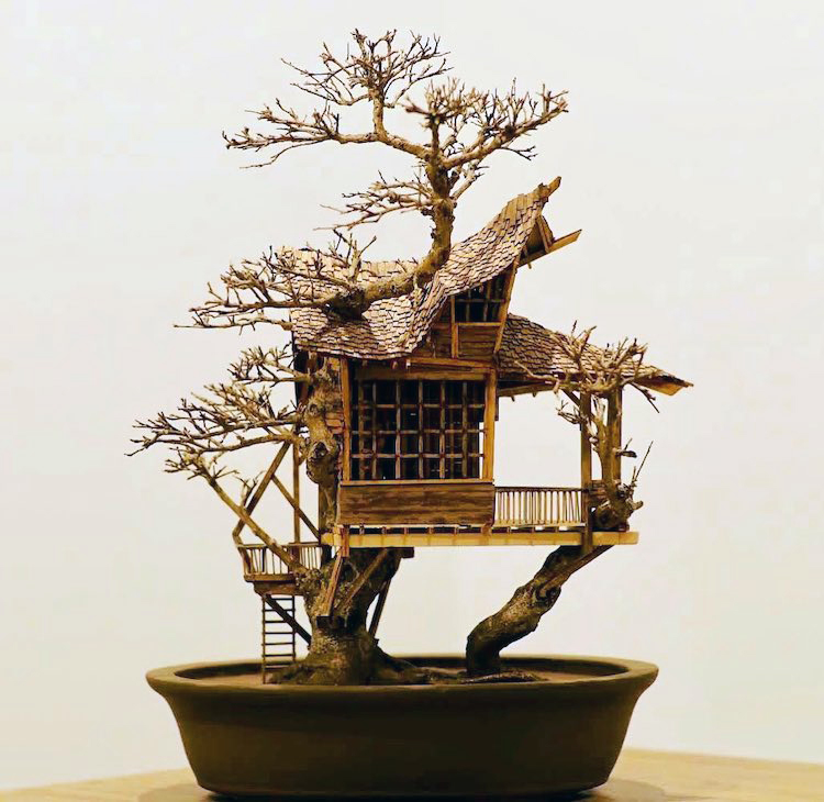 Bonsai treehouses