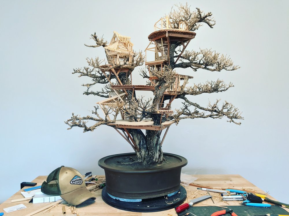 Bonsai treehouses