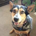 rareclairebear's Avatar