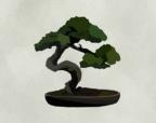 BonsaiMods's Avatar