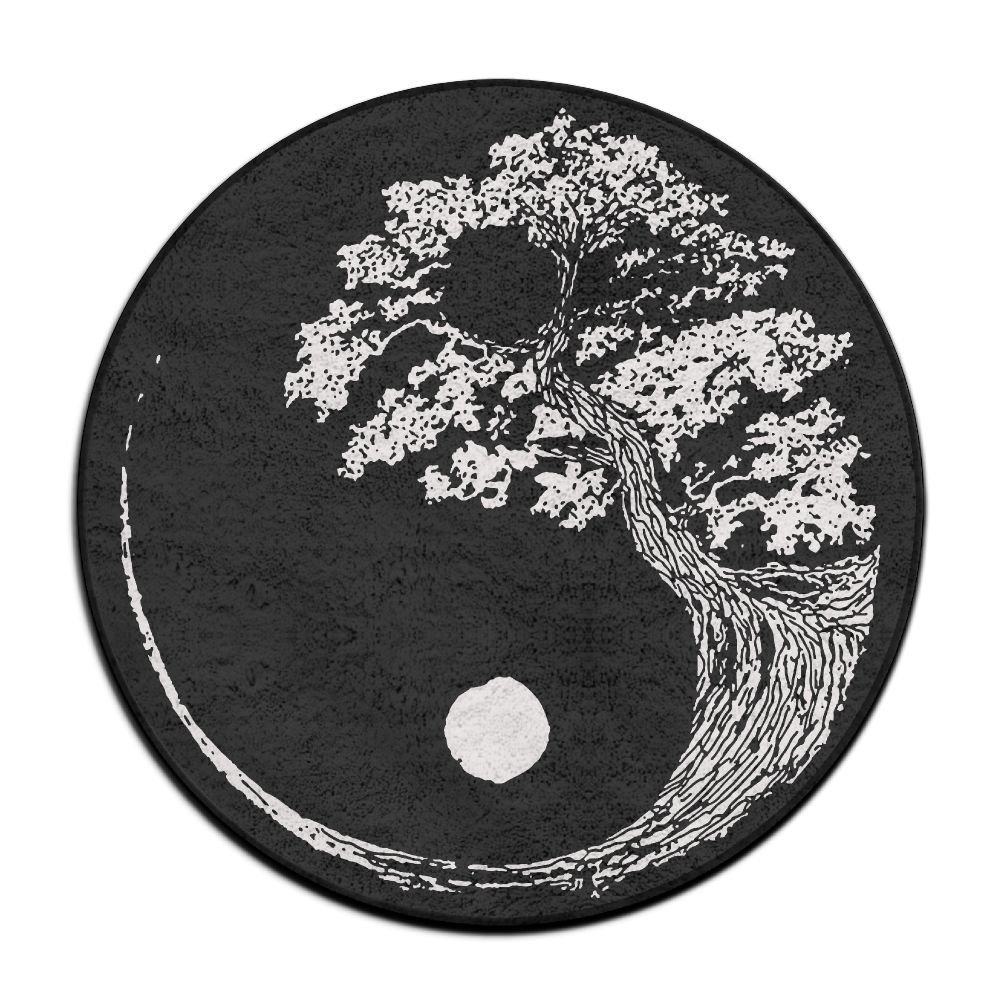 Root rot? (Podocarpus macrophyllus) Bonsai forum Bonsai Empire