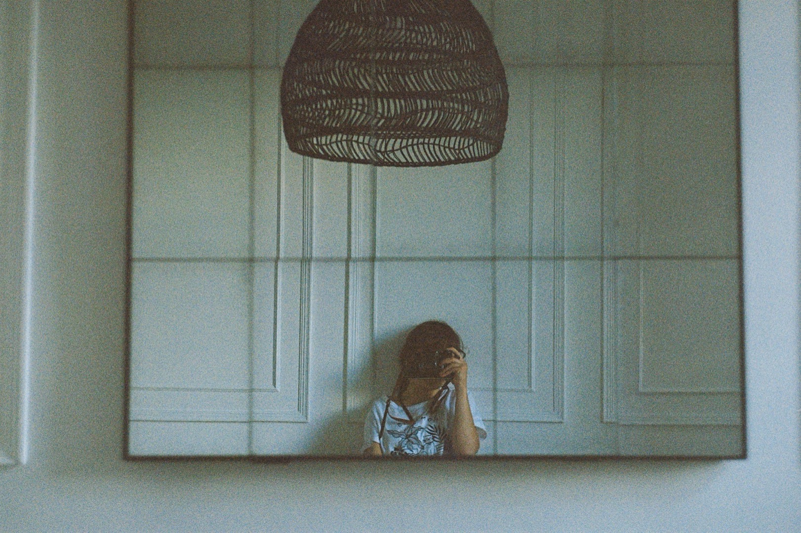 Ficus bonsai is dying, please help (( Bonsai forum Bonsai Empire